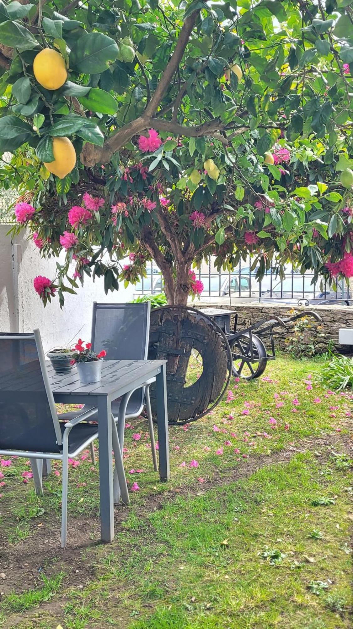Besbello Suites Apartamento Σαντιάγο ντε Κομποστέλα Εξωτερικό φωτογραφία