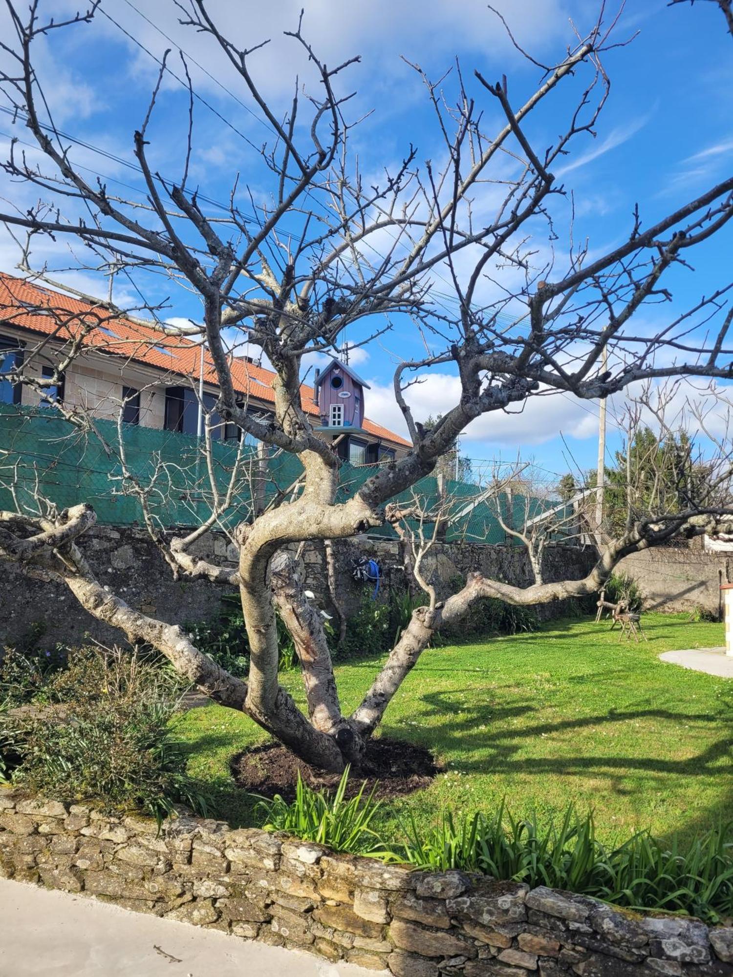 Besbello Suites Apartamento Σαντιάγο ντε Κομποστέλα Εξωτερικό φωτογραφία